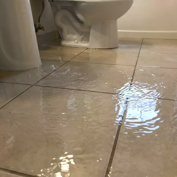 Expert Flooded Bathroom Restoration in Tamarac, FL 
