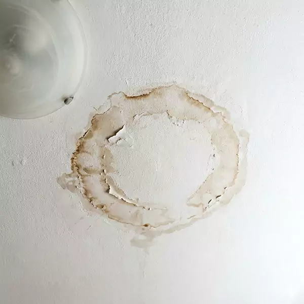Leaking Ceiling Repair in Tamarac, FL 