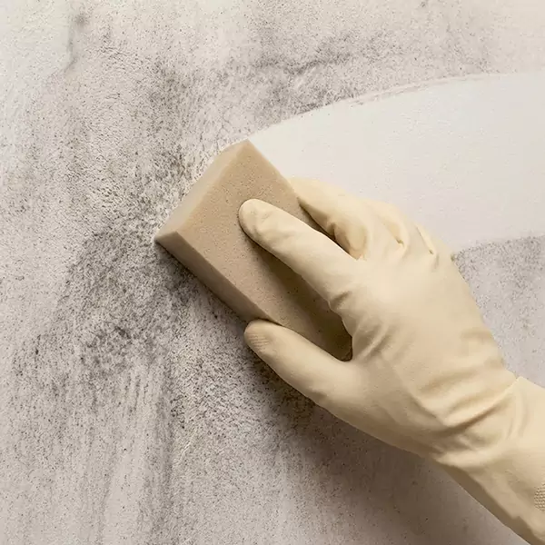 Smoke Cleaning in Tamarac, FL 