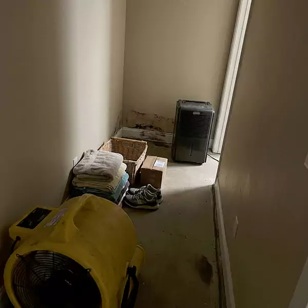 Expert Water Remediation in Tamarac, FL 