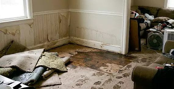 Why Choose Tamarac Water Restoration For Water Damage Restoration Services in Tamarac, FL?