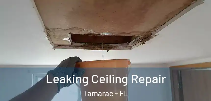  Leaking Ceiling Repair Tamarac - FL