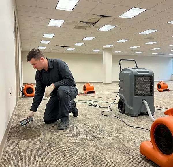 Why Businesses Choose Tamarac Water Restoration for Commercial Water Damage in Tamarac, FL?