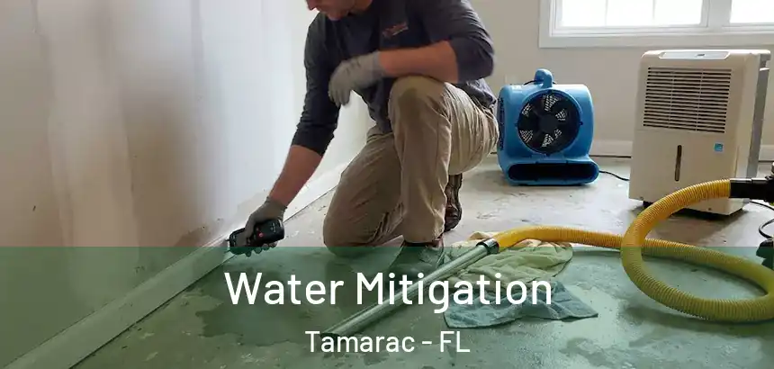  Water Mitigation Tamarac - FL